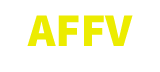 AHN FOUNDATION logo